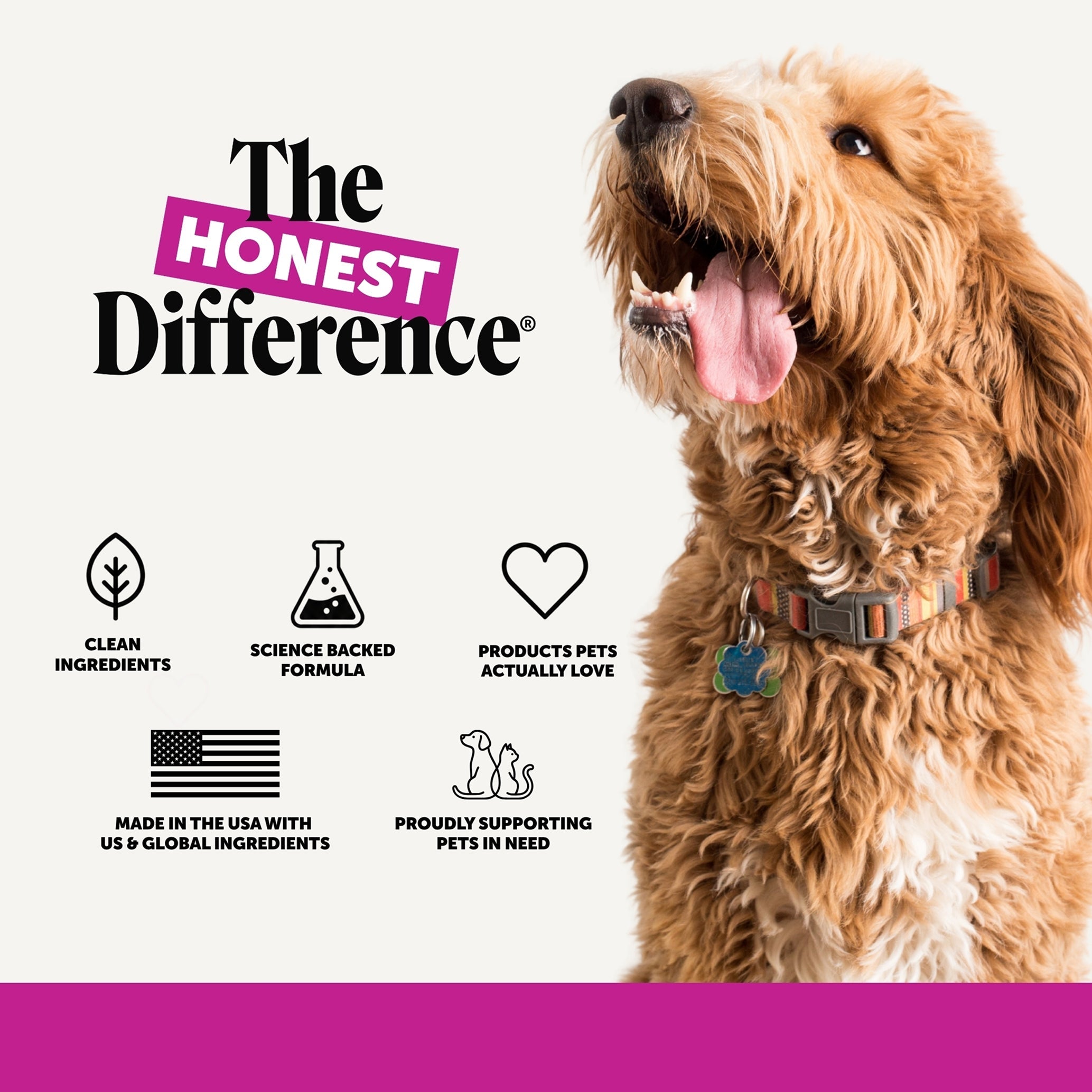 Senior Dog Multivitamin Soft Chews product image 8