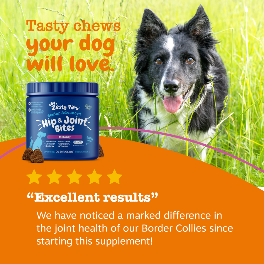 Dog Joint Supplement product image 5