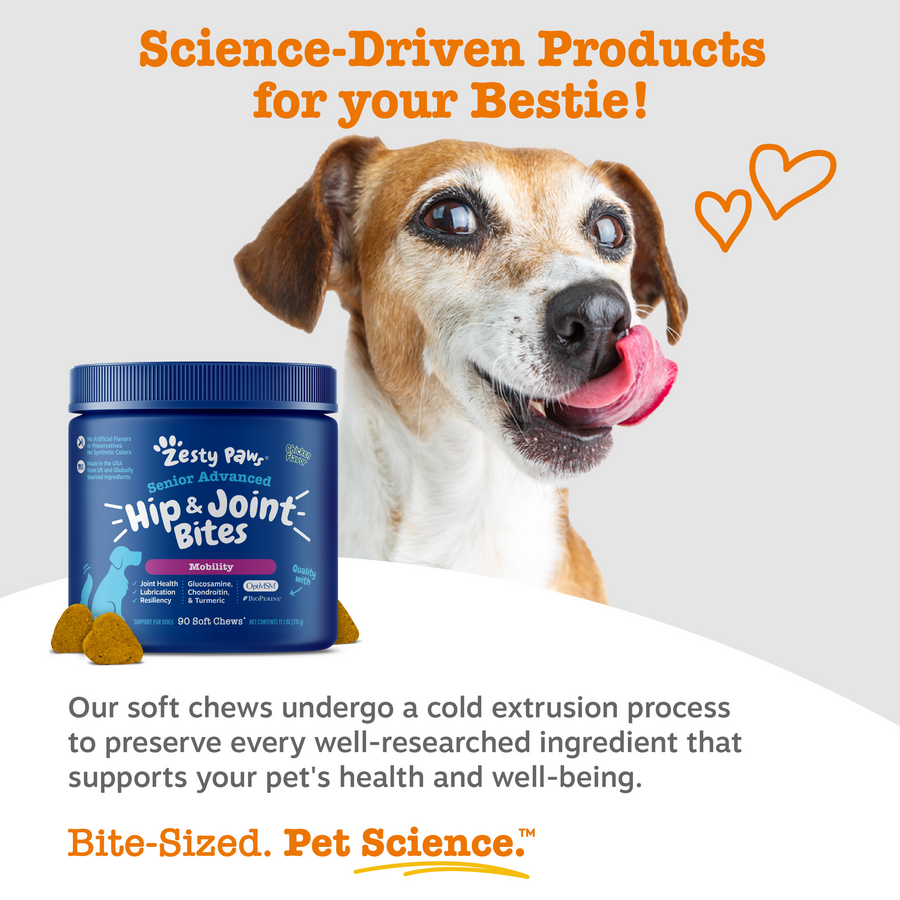 Dog Joint Supplement product image 6