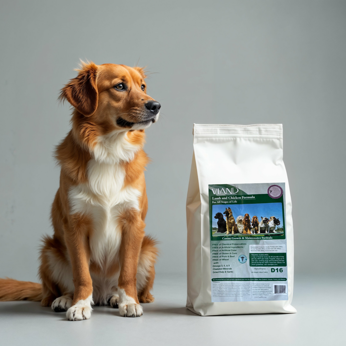 Dry Dog Food product image 2