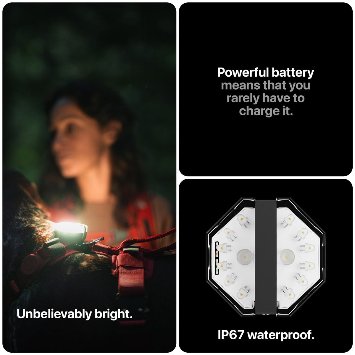 Rechargeable Dog Safety Light product image 3