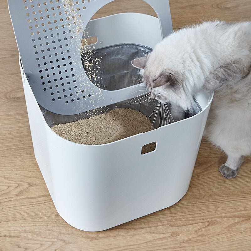 Modkat with lid open and cat looking down inside