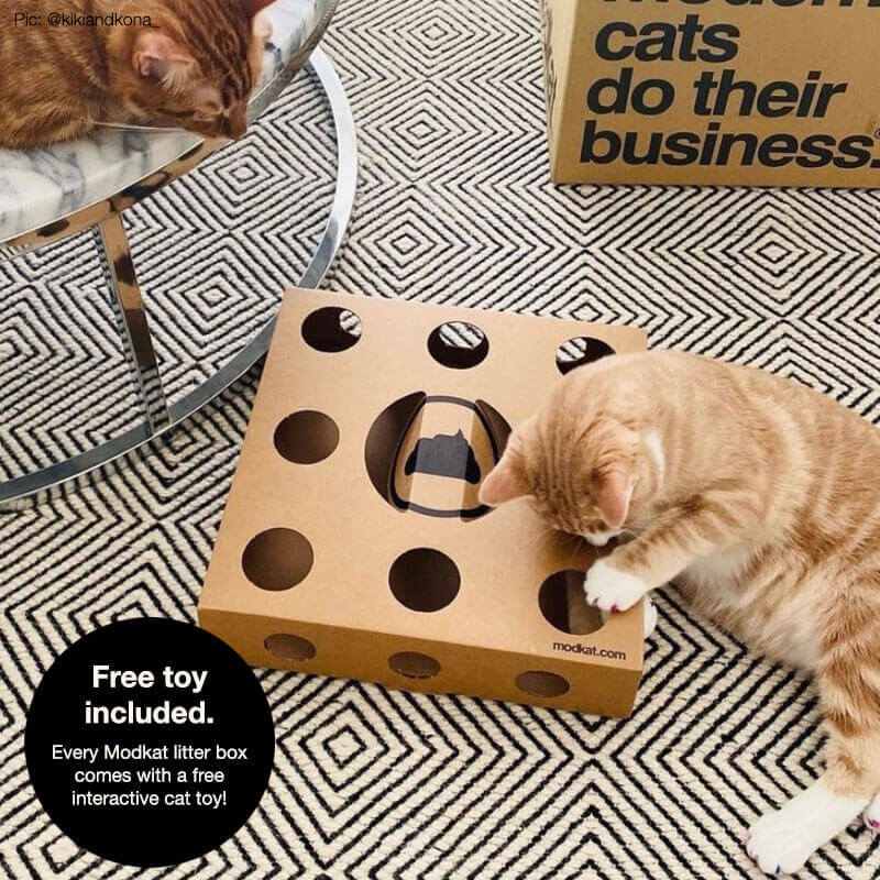 Modkat interactive cat toy