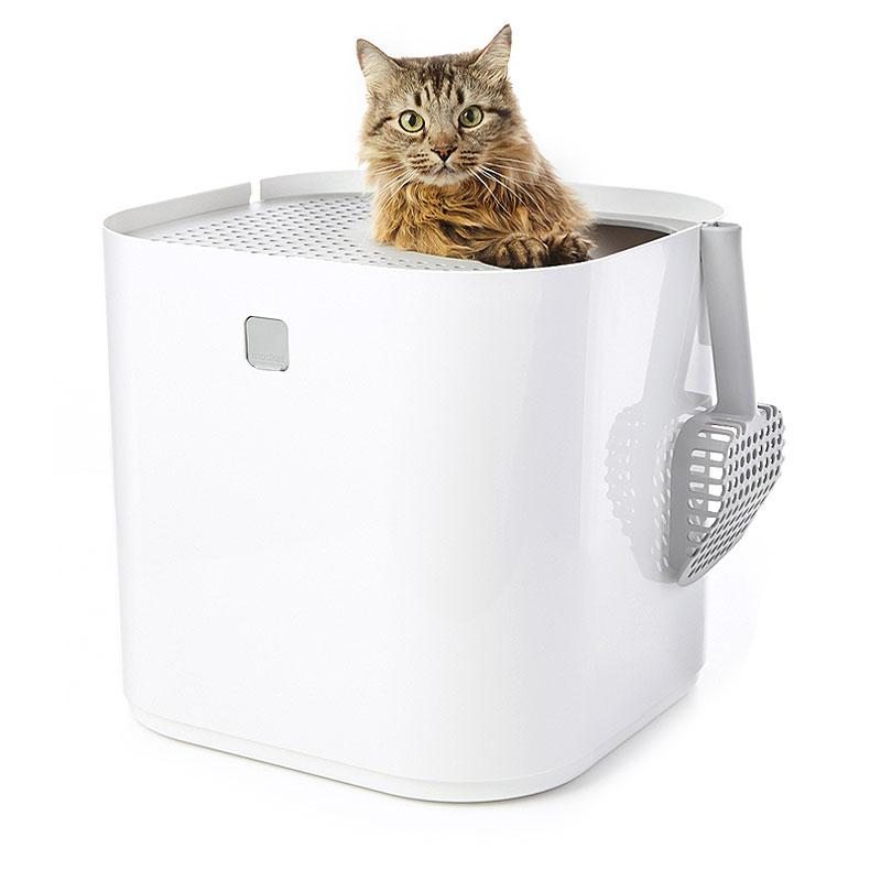 Top-Entry Cat Litter Box, White