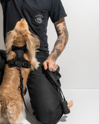 Cushioned No-Pull Dog Harness product image 50