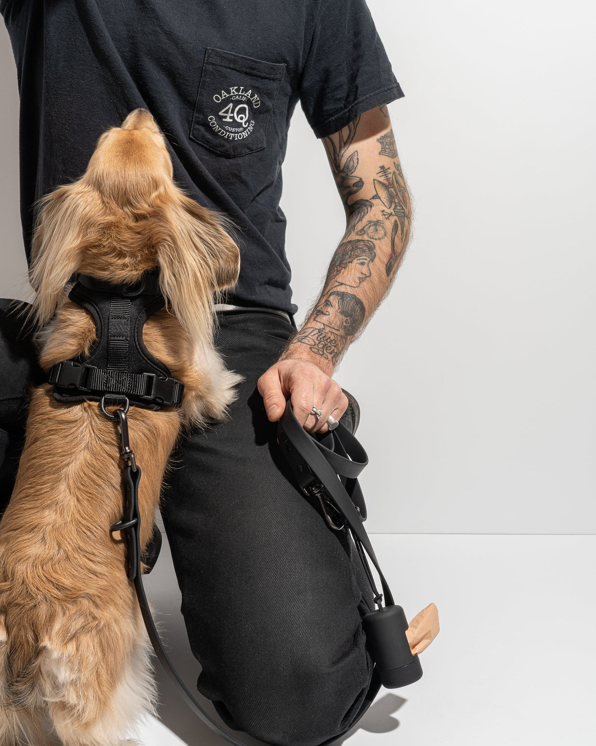 Cushioned No-Pull Dog Harness product image 50