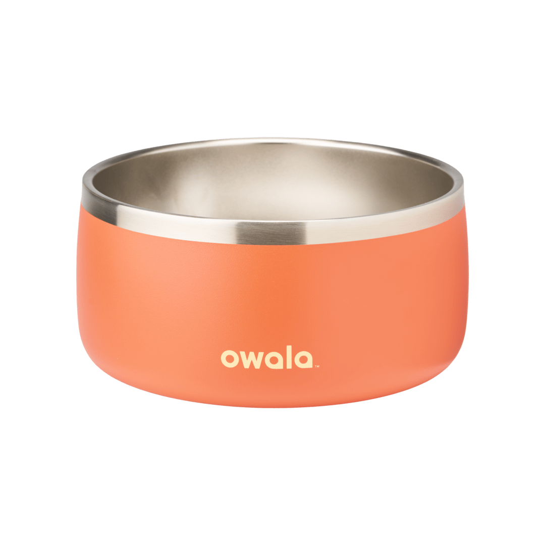Stainless Steel Pet Bowl product image 20