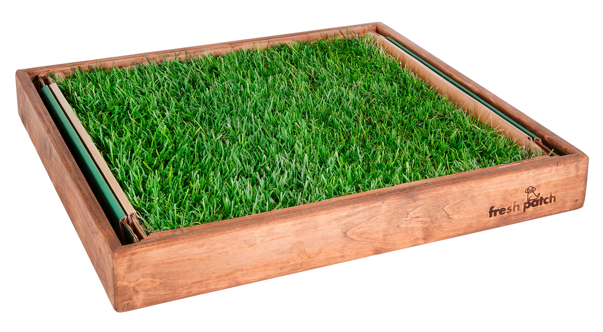 Dog Grass Sleeve product image 1