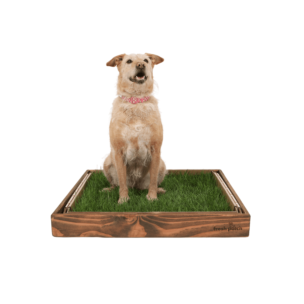 Dog Grass Sleeve product image 2