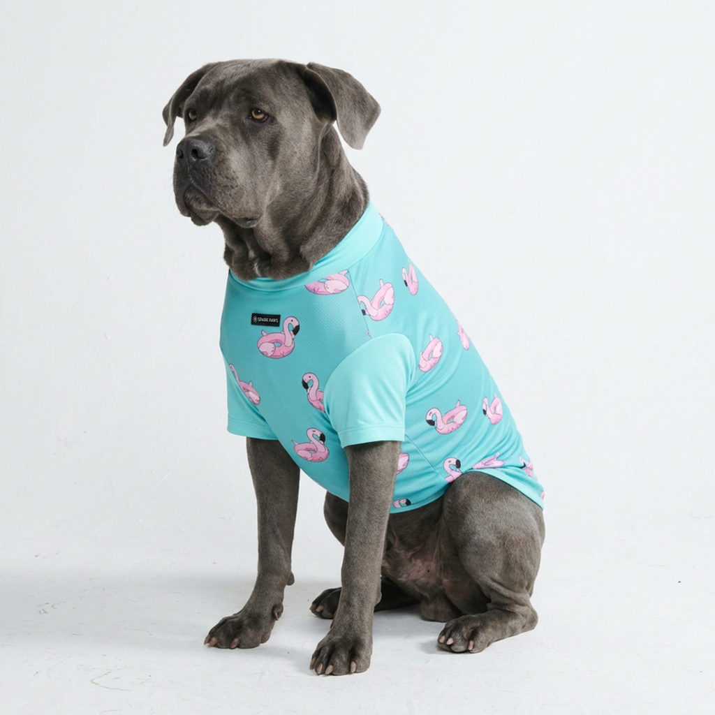 UPF 30 Printed Dog Sun Shirt product image 12