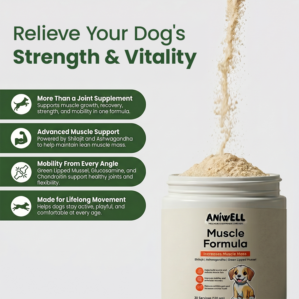 Dog Muscle and Joint Supplement Powder product image 4