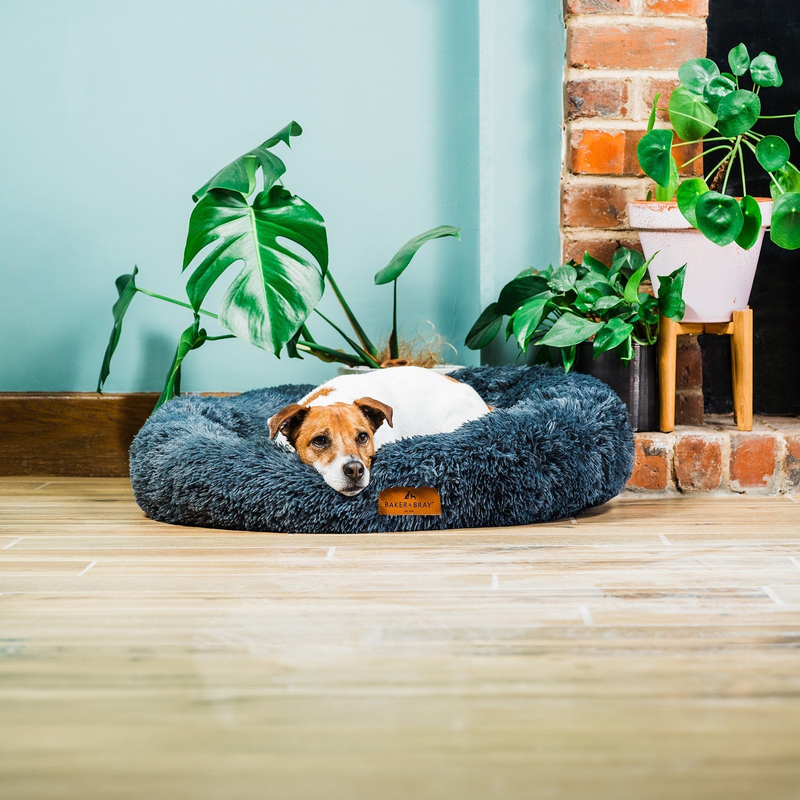 Calming Donut Dog Bed product image 1
