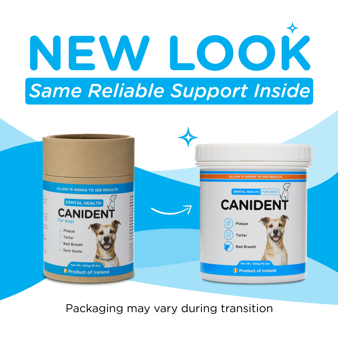 Canident Dog Dental Powder – Natural Seaweed Plaque Remover for Dogs - Seaweed For Dogs