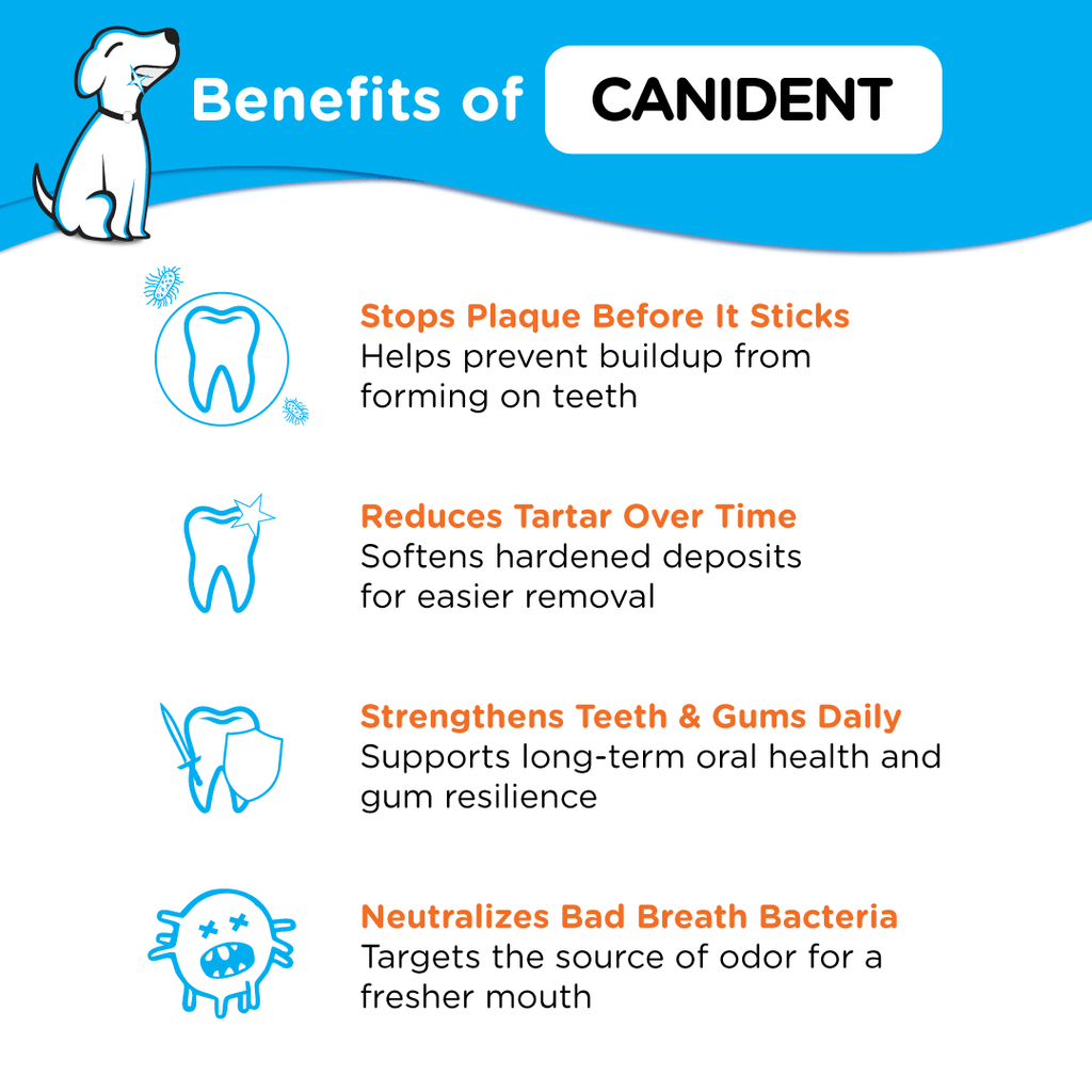 Infographic listing Canident’s benefits — stops plaque before it sticks, reduces tartar, strengthens teeth and gums, and neutralizes bad breath bacteria.