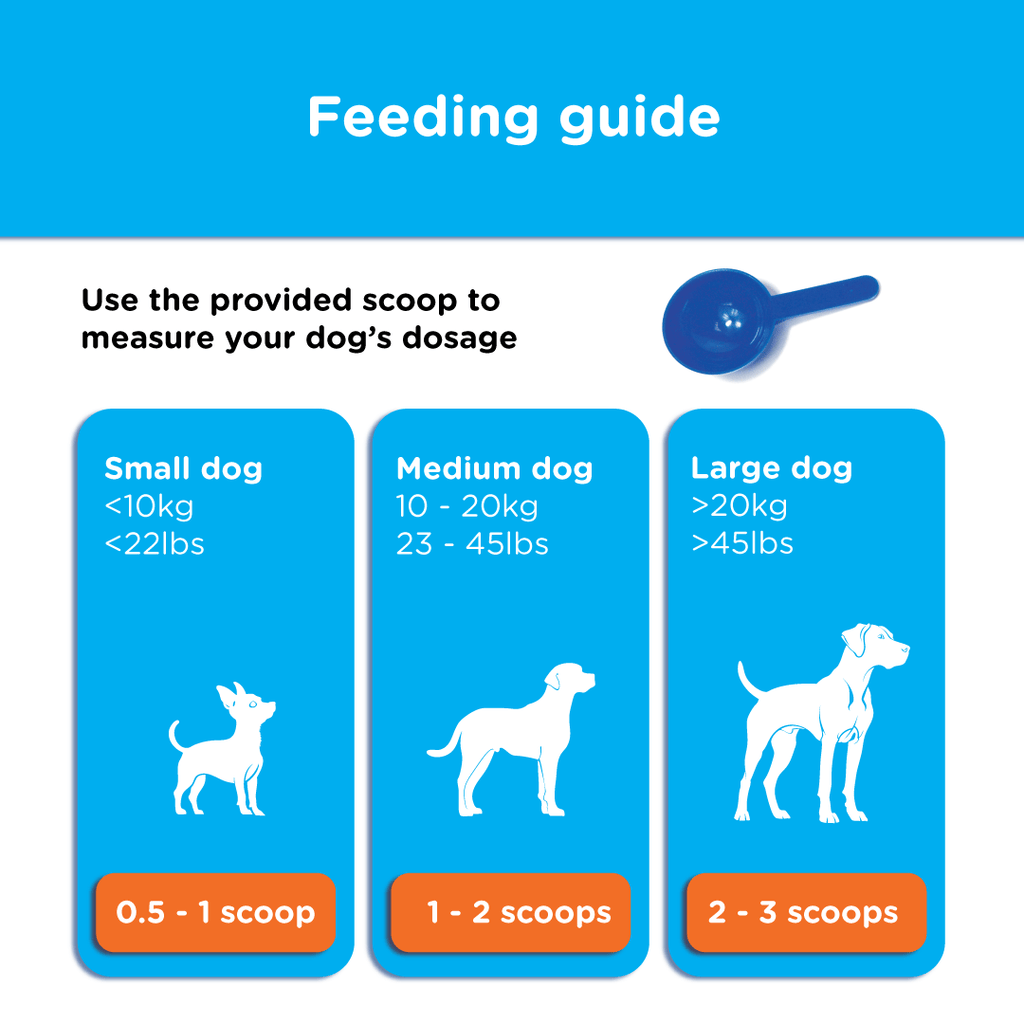 Feeding guide for Canident showing recommended scoops by dog size using the included blue measuring scoop.