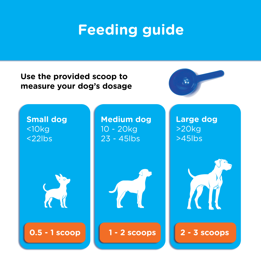 Feeding guide for Canident showing recommended scoops by dog size using the included blue measuring scoop.