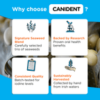 Infographic explaining why to choose Canident — signature seaweed blend, research-backed, batch-tested quality, and sustainable Irish harvest.