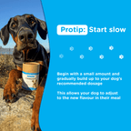 Lifestyle image of a dog outdoors with Canident tub, captioned “Protip: Start Slow,” encouraging gradual dosage introduction.