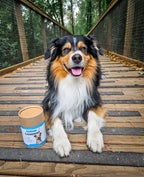 Canident - Clean Dogs Teeth, Fix Bad Breath and Remove Plaque - Seaweed For Dogs