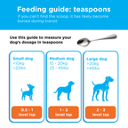 Canident teaspoon guide showing dosage by weight for small, medium, and large dogs using household spoons.