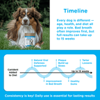 Visual timeline showing Canident results over 15 weeks, from improved breath to reduced plaque and healthy gums.