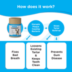Diagram explaining how Canident works — disrupts plaque bacteria, slows tartar build-up, and prevents gum disease.