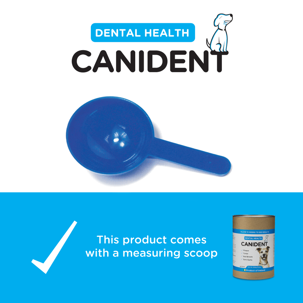 Image of the blue Canident measuring scoop with note “This product comes with a measuring scoop.”