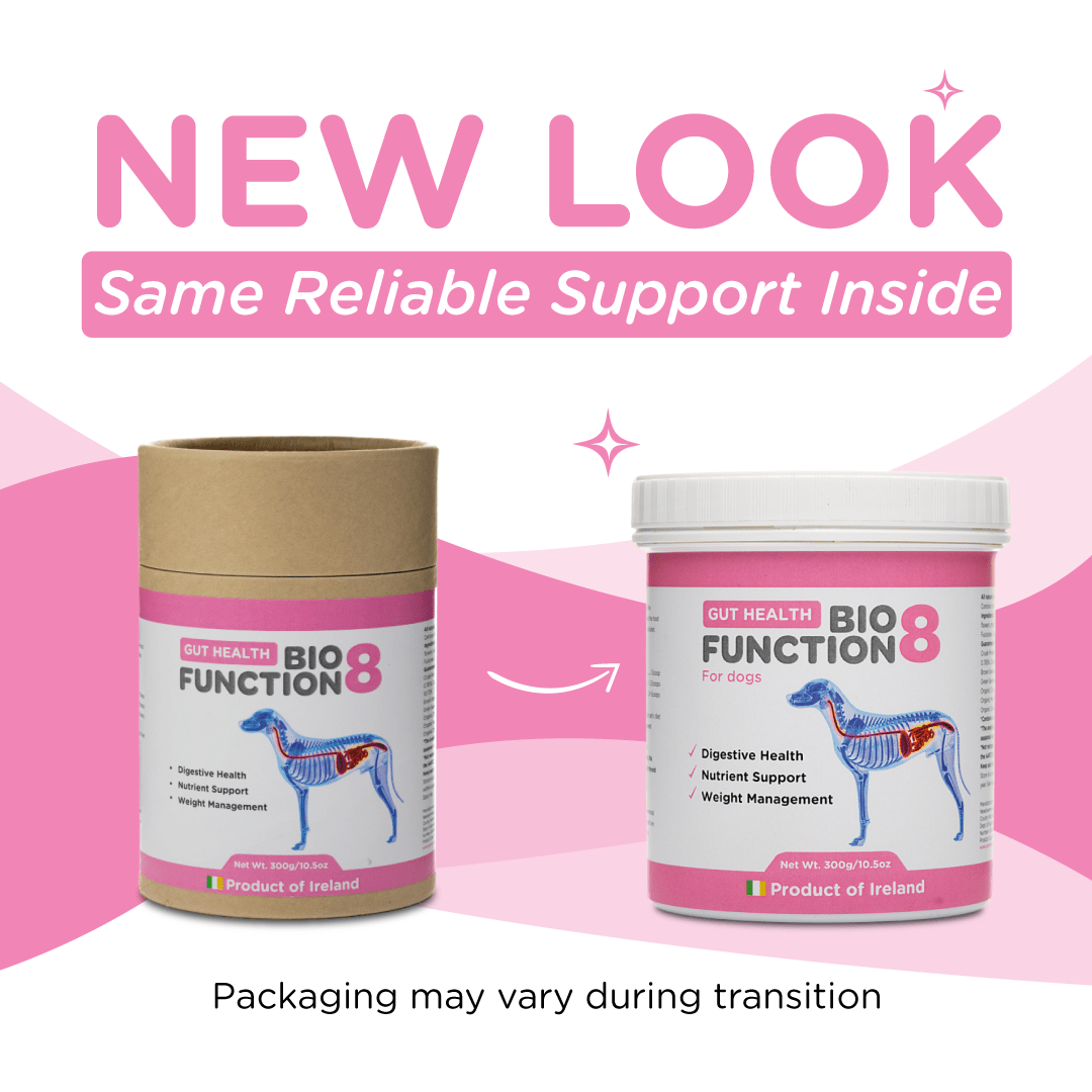 Dog Prebiotic Supplement product image 2