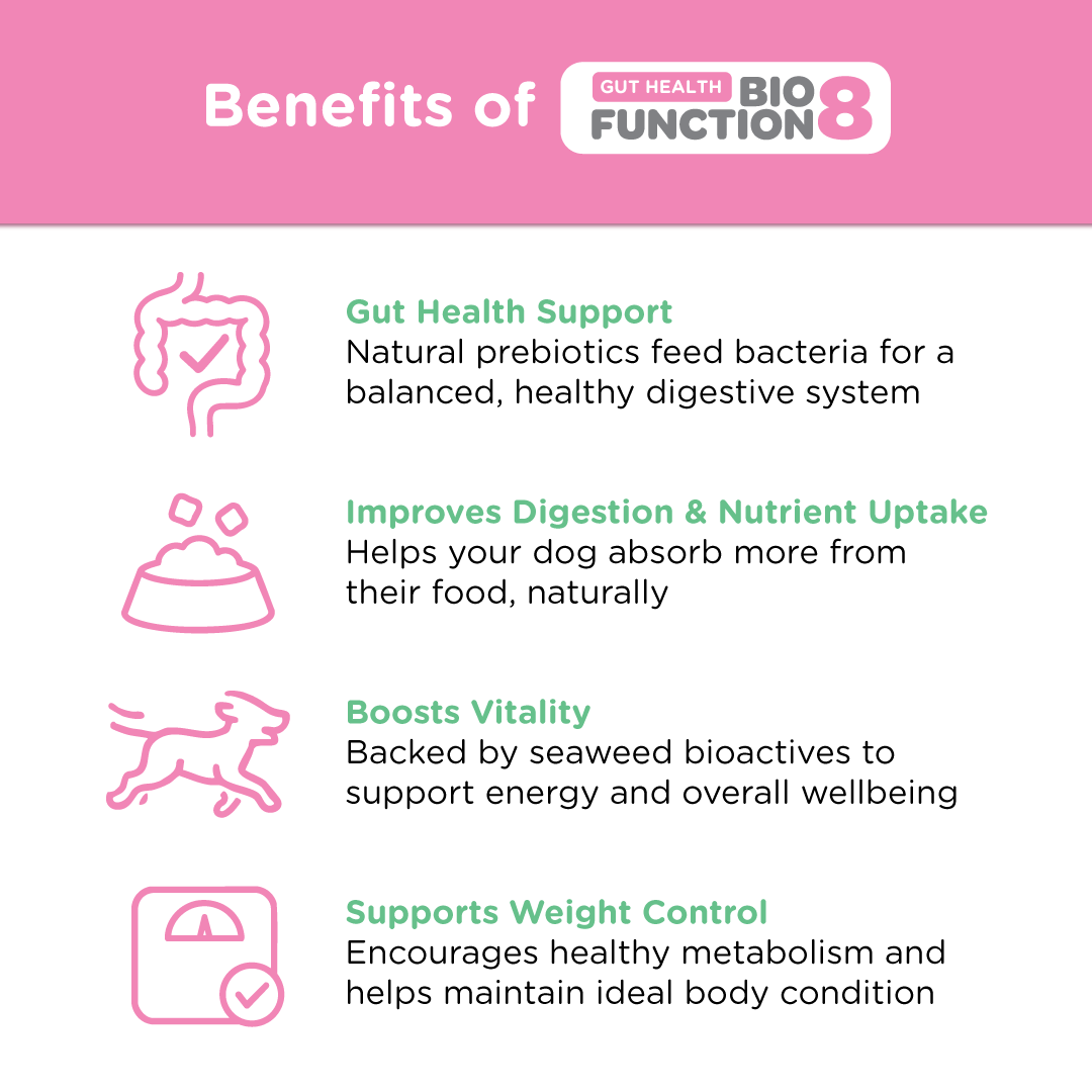 Dog Prebiotic Supplement product image 3