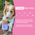 Dog Prebiotic Supplement product image 4