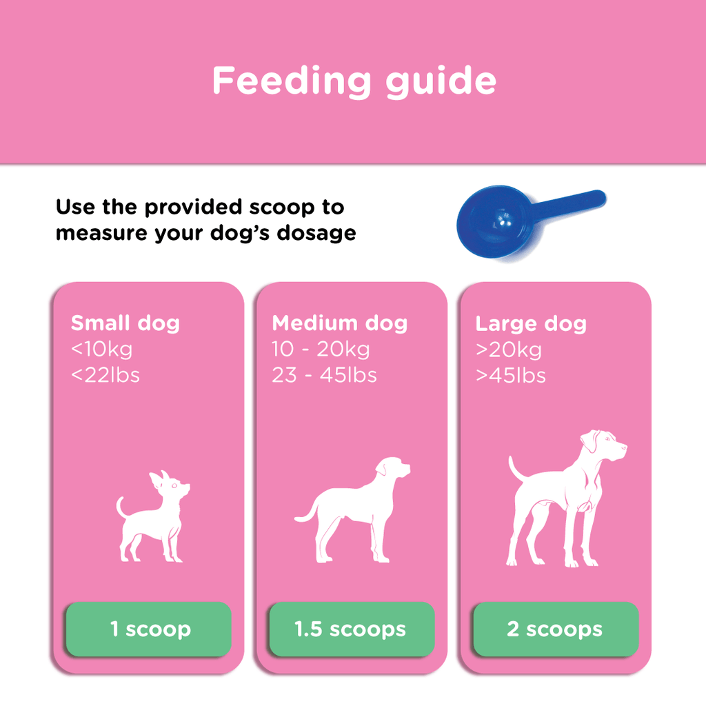 Dog Prebiotic Supplement product image 5