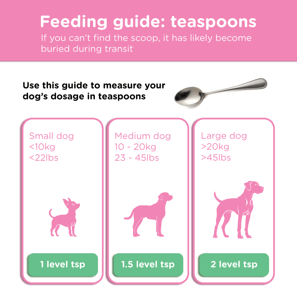 Dog Prebiotic Supplement product image 6