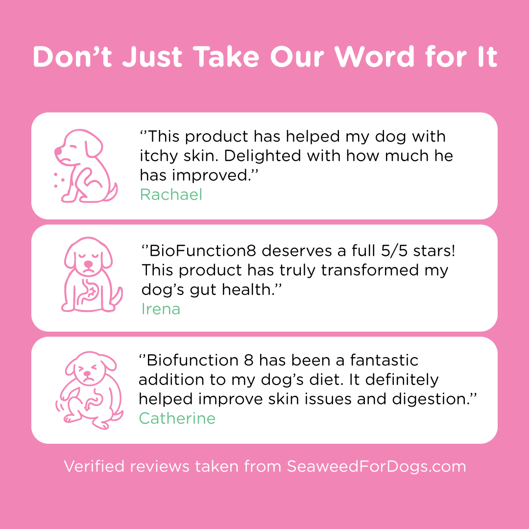 Dog Prebiotic Supplement product image 7