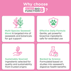 Dog Prebiotic Supplement product image 8