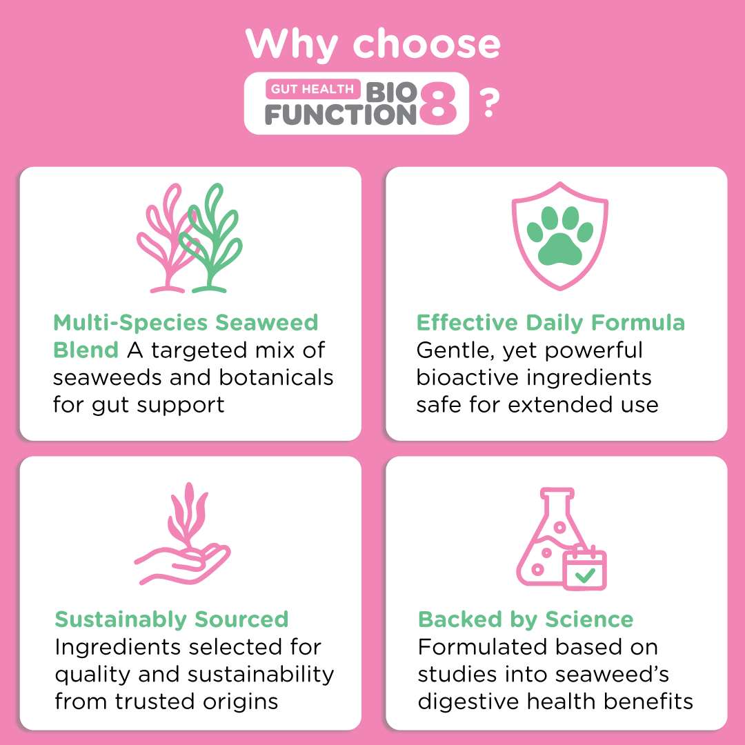 Dog Prebiotic Supplement product image 8