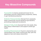 Dog Prebiotic Supplement product image 9