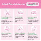 Dog Prebiotic Supplement product image 10