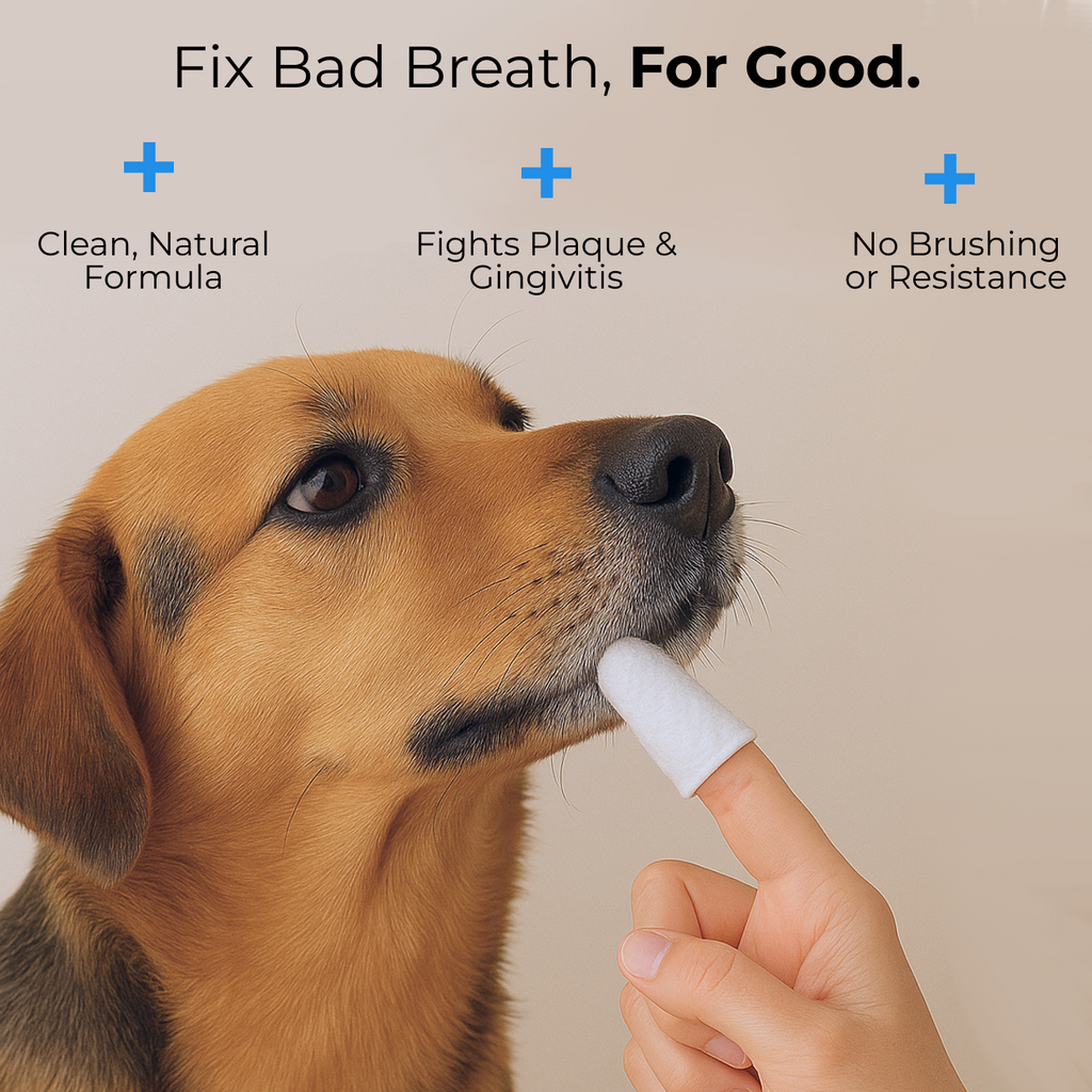 Pet Dental Finger Wipes product image 2