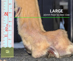 Greyhound and Whippet Dog Boots product image 8