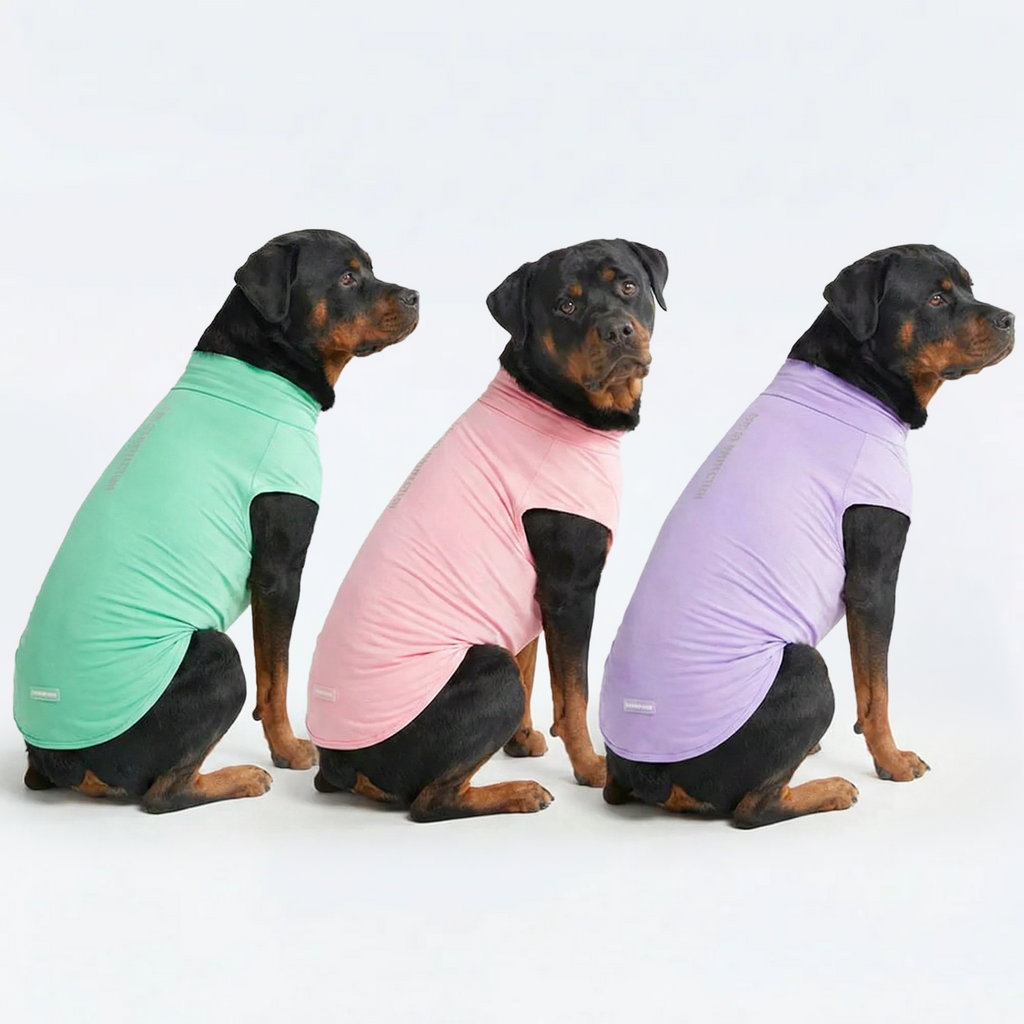 UPF 30 Dog Sun Shirt product image 40
