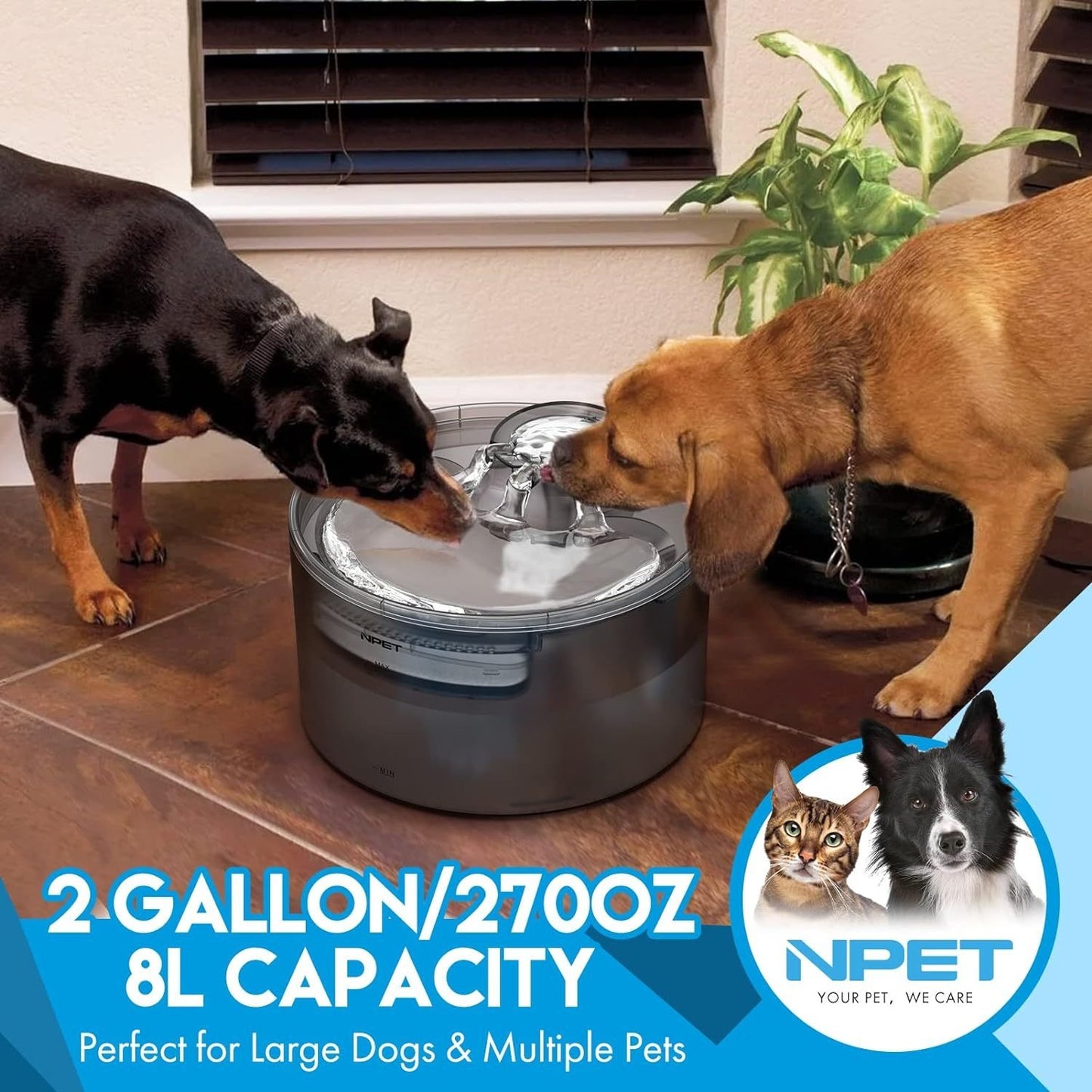 Dog Water Fountain 2 Gallon NPET DF30 - Automatic Pet Water Dispenser Triple Filtration with Splatter Guard & Cleaning Kit for Large Dogs & Multiple Pets 1.3Gal or 2Gal Options