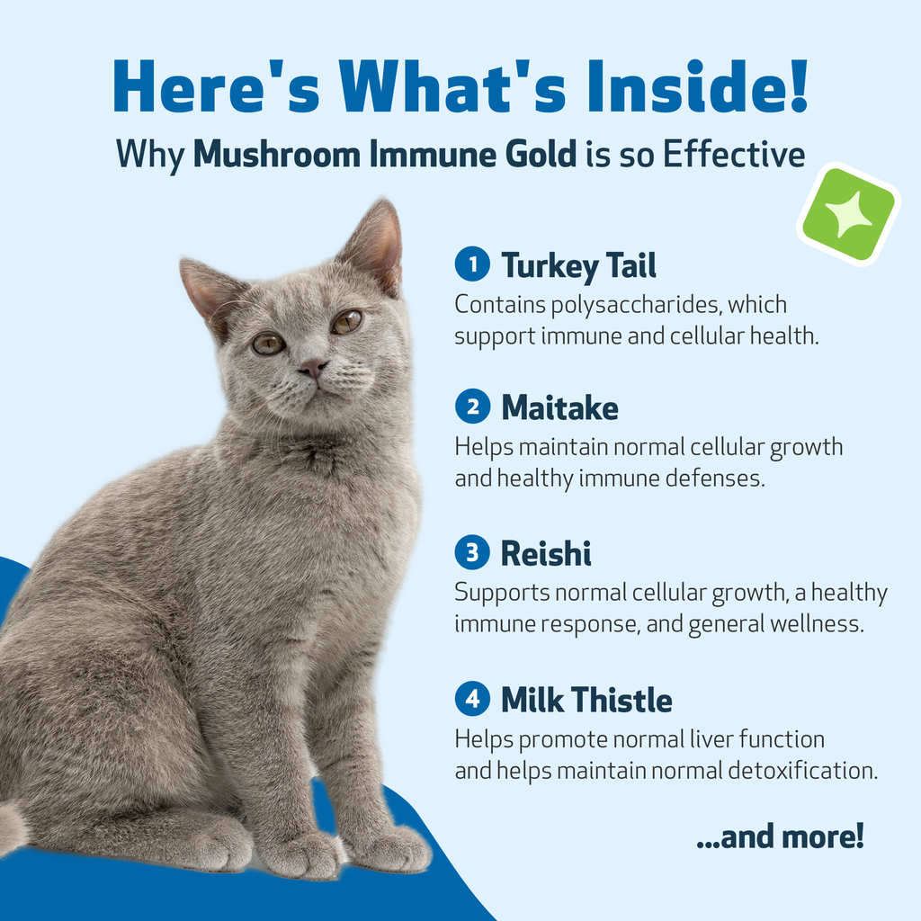 Cat Immune Supplement for Daily Immune and Antioxidant Support, Mushroom Blend for Healthy Vitality