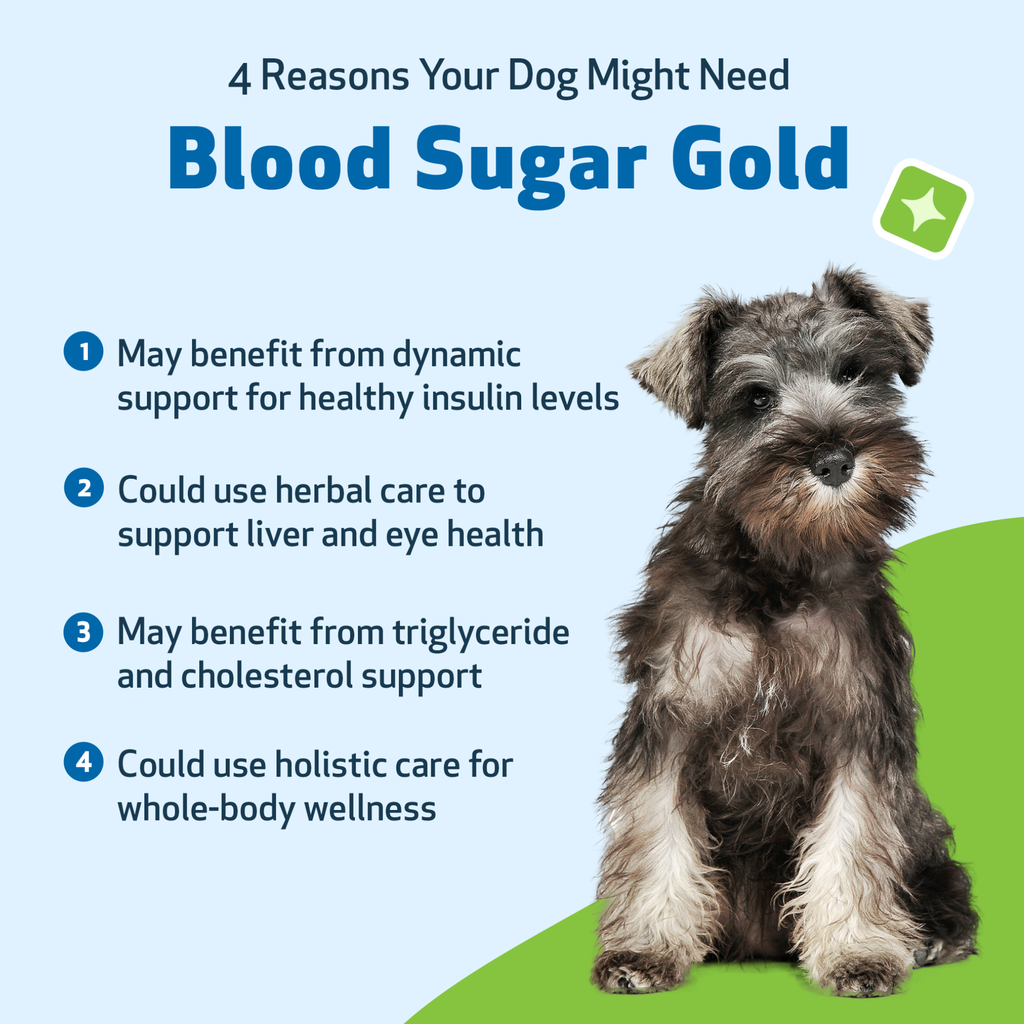 Dog Blood Sugar Supplement for Balanced Levels, Liver and Eye Support in a Gentle Liquid Formula