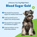Dog Blood Sugar Supplement for Balanced Levels, Liver and Eye Support in a Gentle Liquid Formula