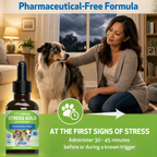 Dog calming supplement for occasional stress support during travel, loud noises, vet visits, and changes