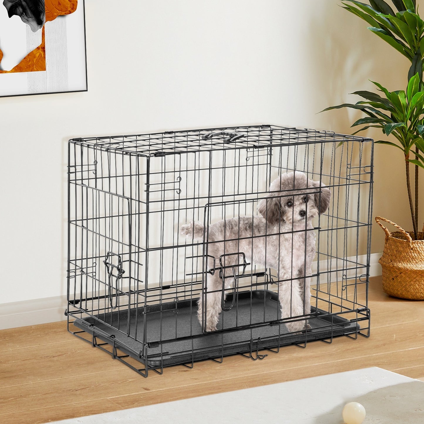 Folding Wire Dog Crate with Divider - Single & Double Door Options, Leak-Proof Plastic Tray, Indoor Outdoor Travel Kennel for Small Medium Large Dogs, 24" / 30" / 36" Sizes