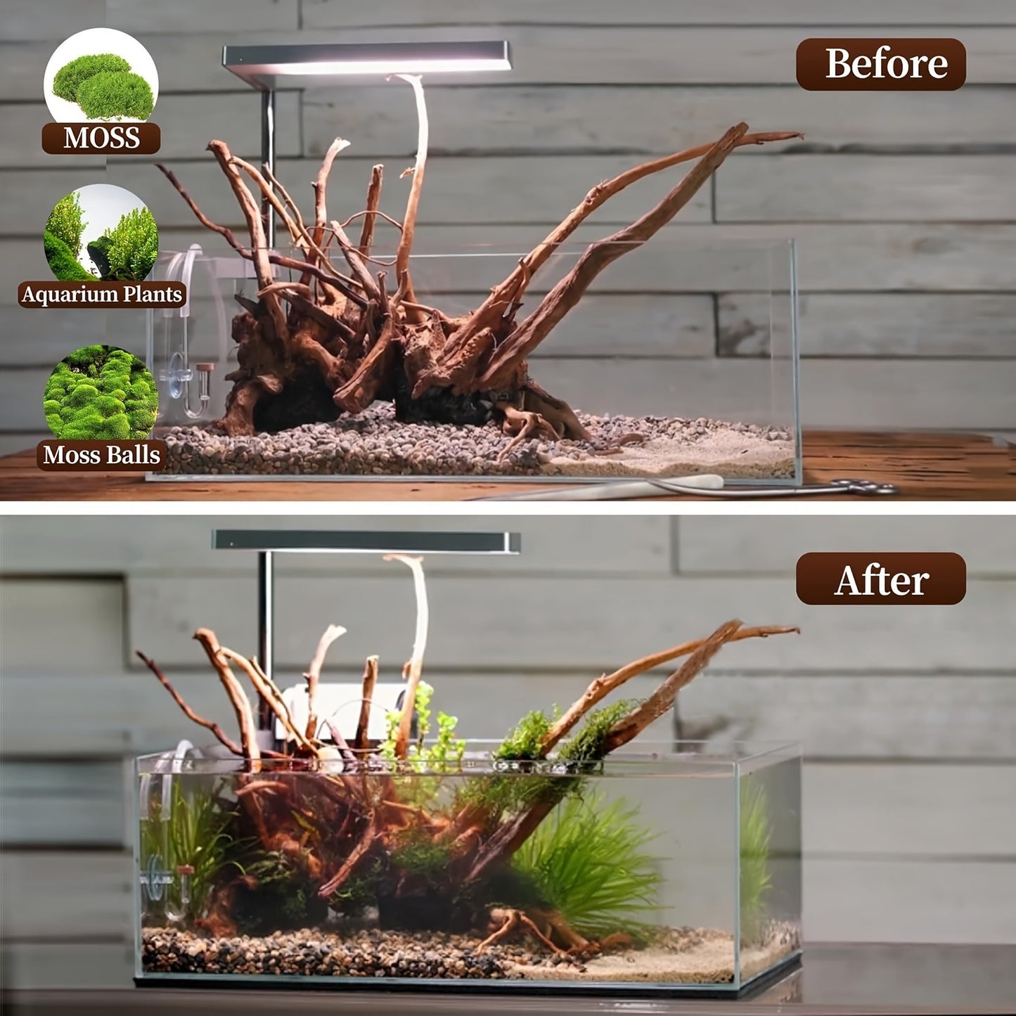 Natural Driftwood for Aquarium Reptile Terrarium – 5-Pack Assorted Branches Decoration for Freshwater & Saltwater Fish Tanks, Reptile Habitats, Spider Enclosures & Shrimp Tanks