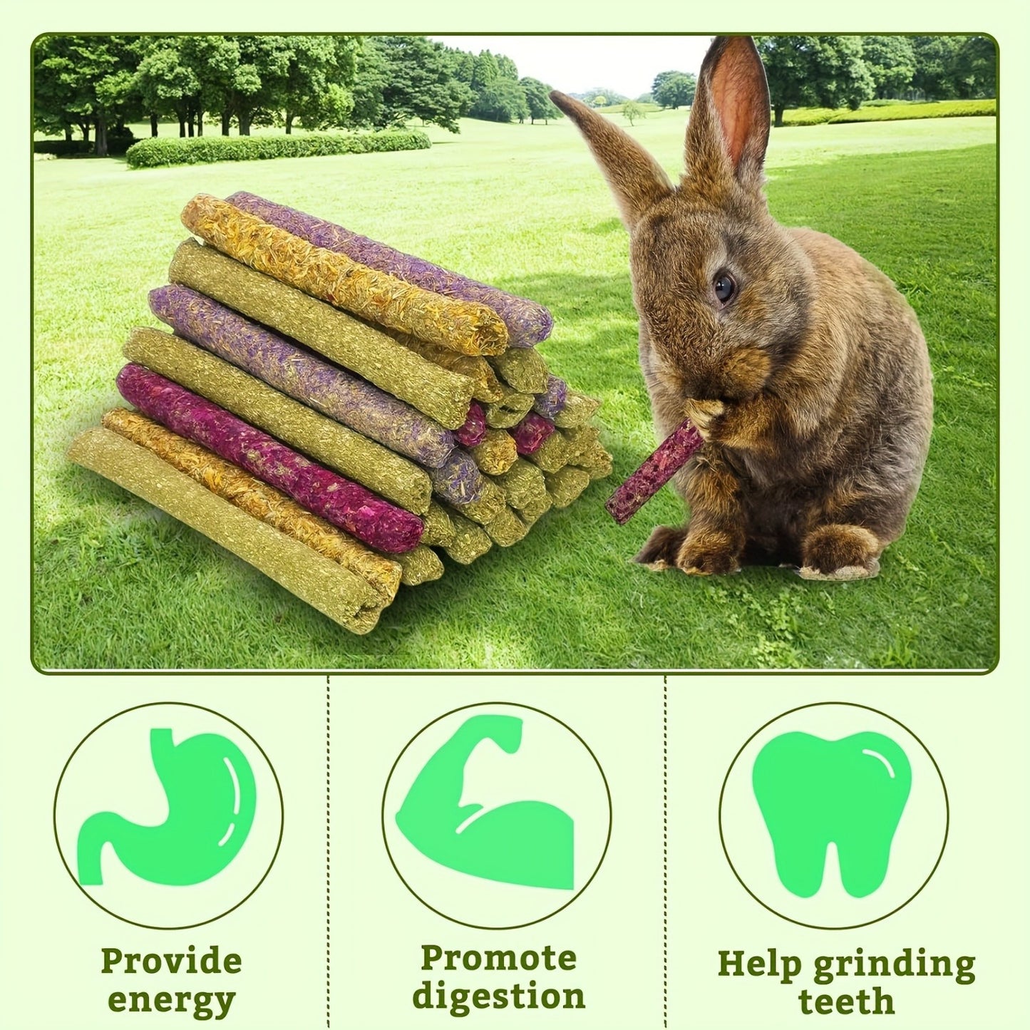 Timothy Hay Sticks 66pcs – Natural Handmade Chew Toys & Treats for Rabbits, Guinea Pigs, Hamsters, Chinchillas, Rats & Gerbils – Dental Health Chews for Small Pets