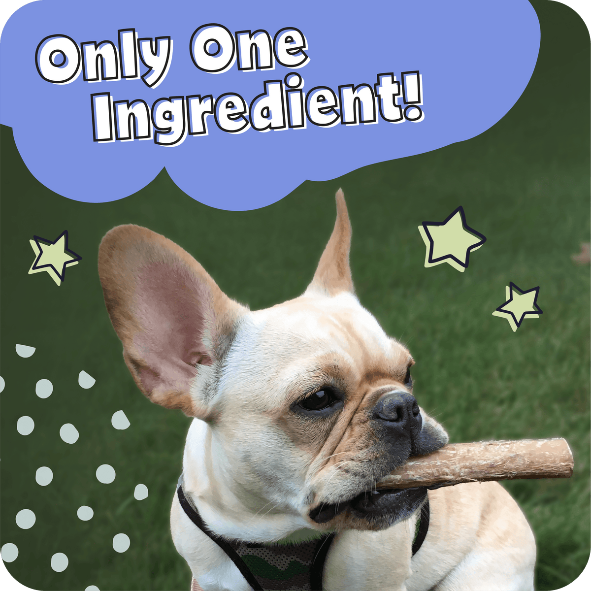 Braided Bully Stick Dog Chews product image 10