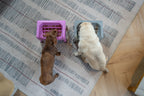 Elevated Pet Slow Feeder Bowl Set product image 5
